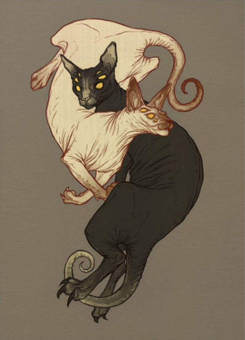 Кот сфинкс референс