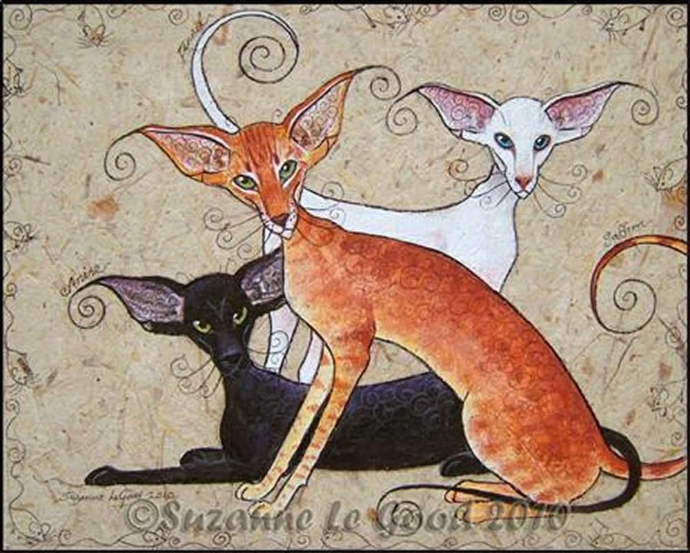 С днем рождения ориентальные кошки