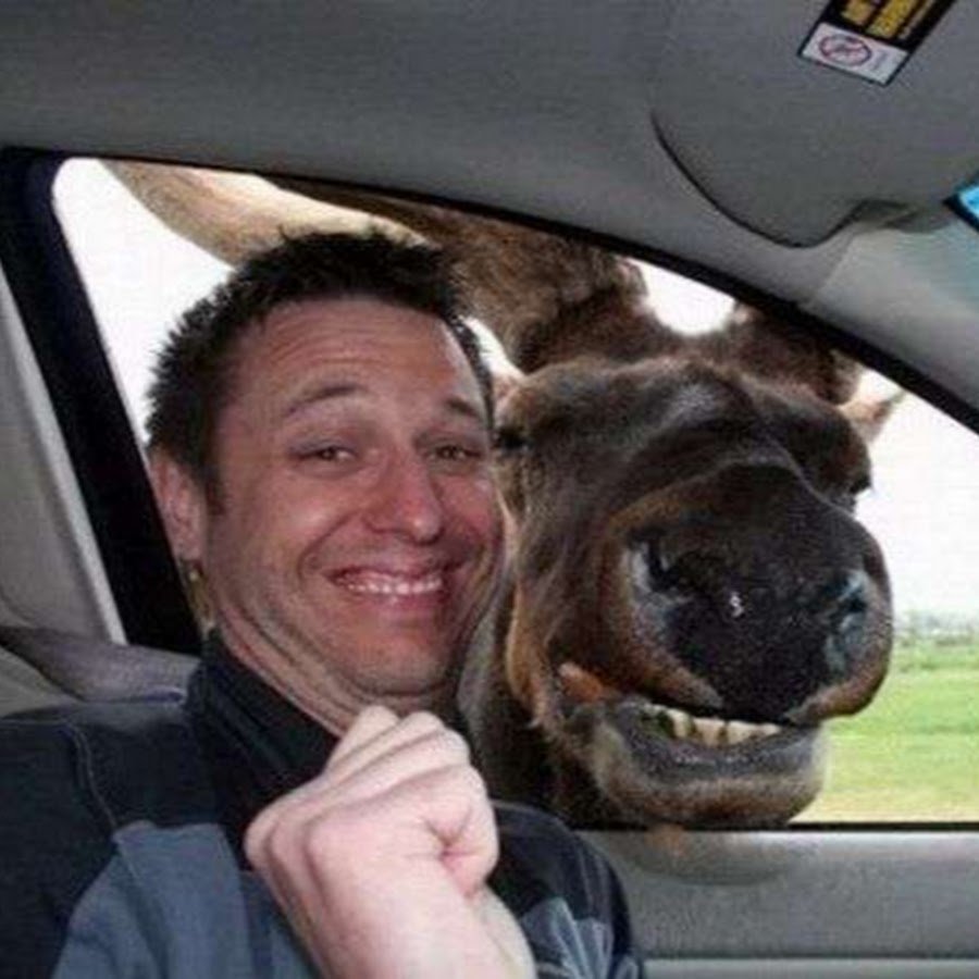 Смешные селфи людей