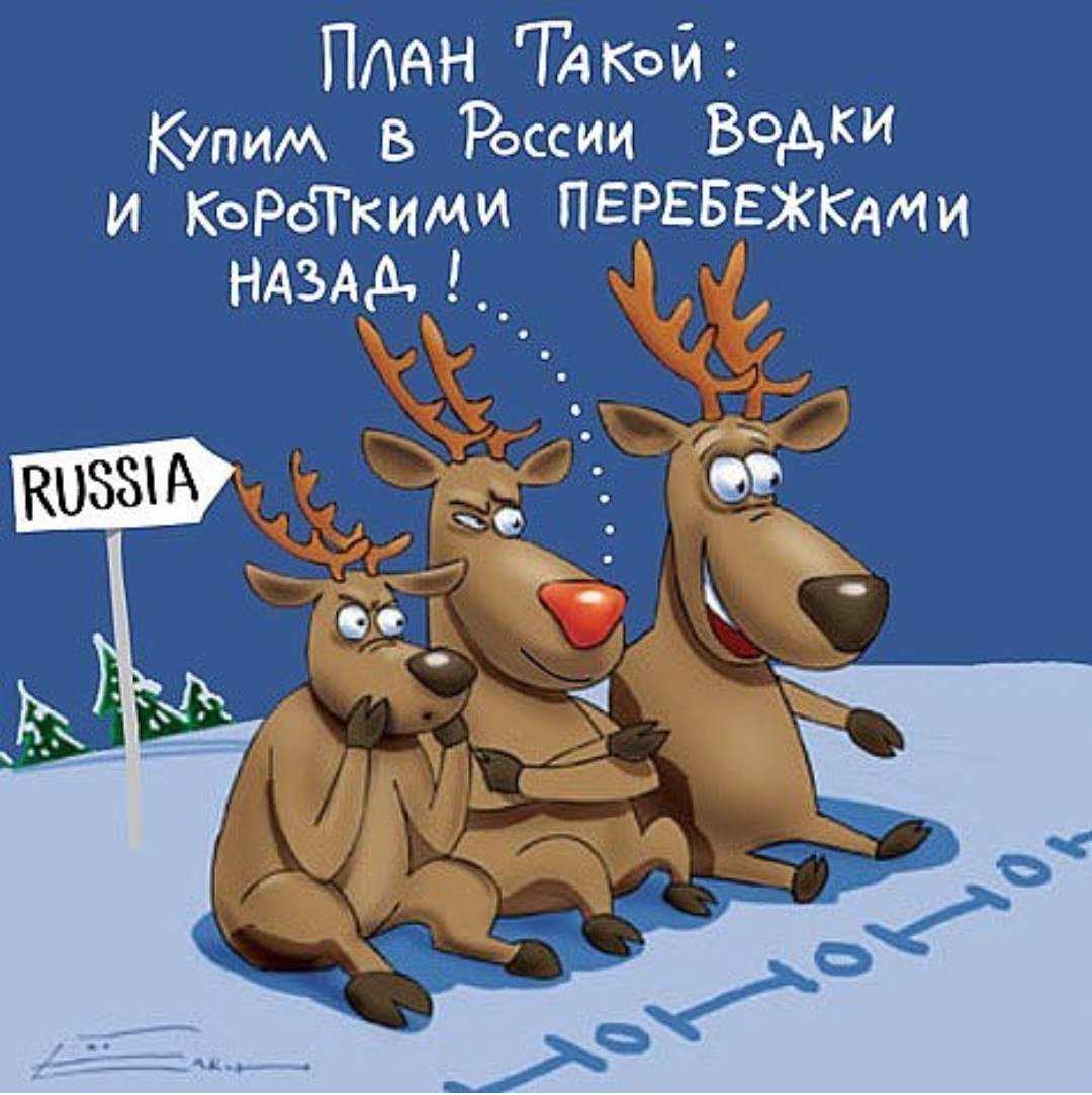 Шутки про оленей