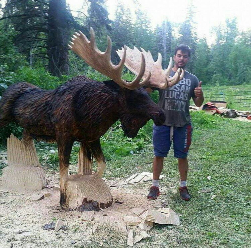 Лось прикольный из дерева