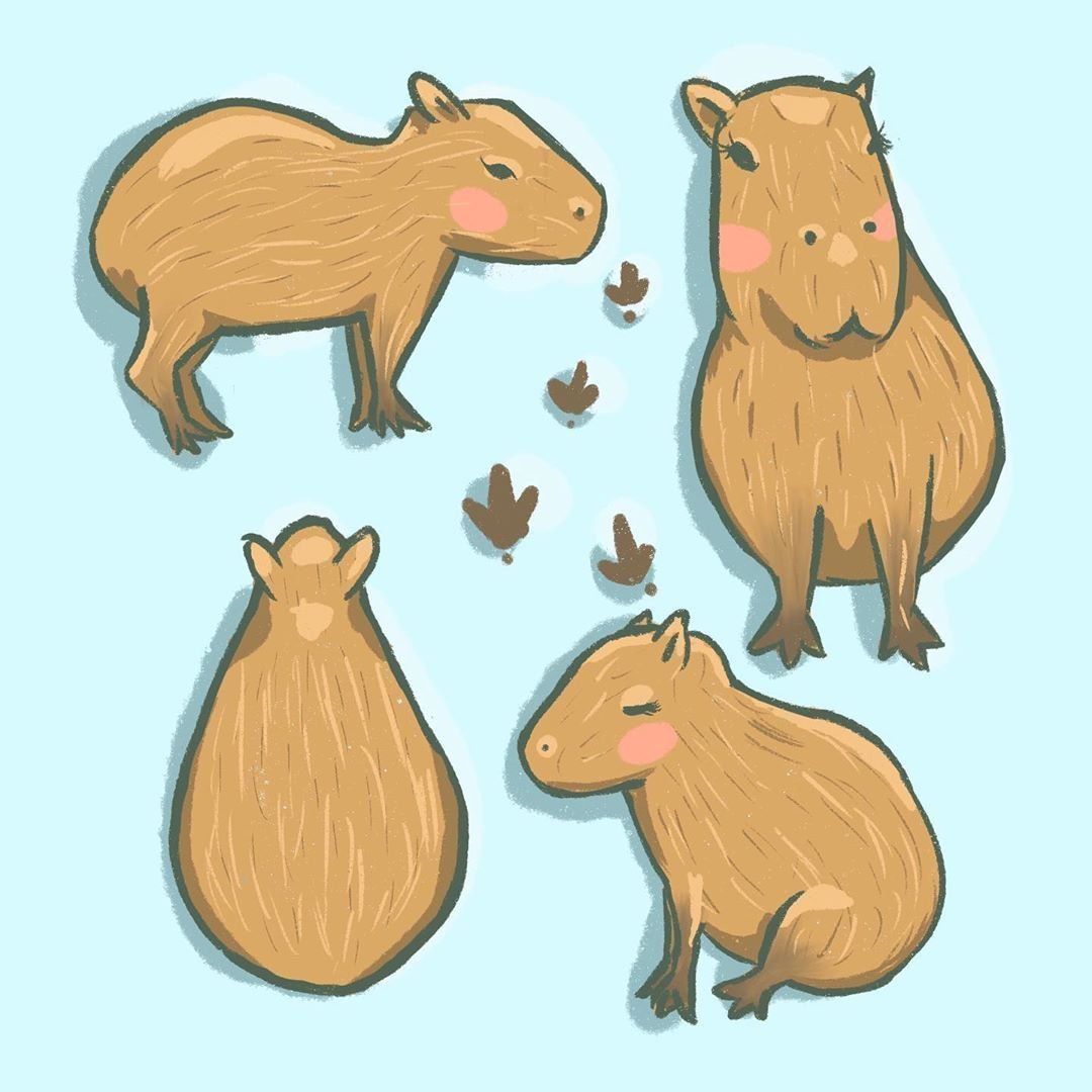 Эволюция капибар