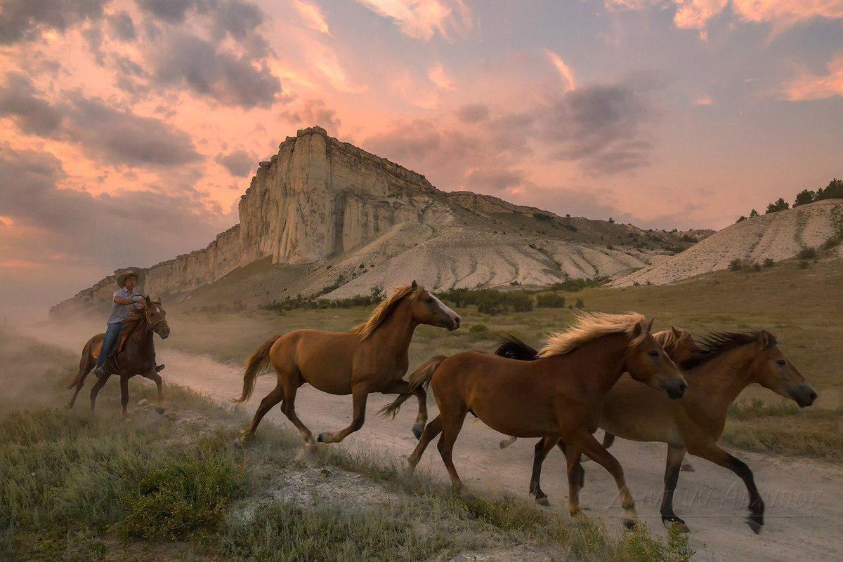 Ковбой белая скала Крым
