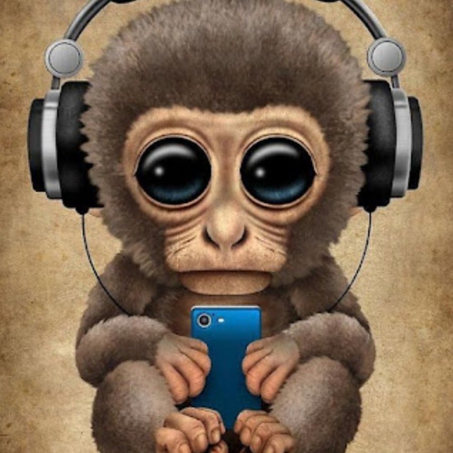 Мартышка с телефоном