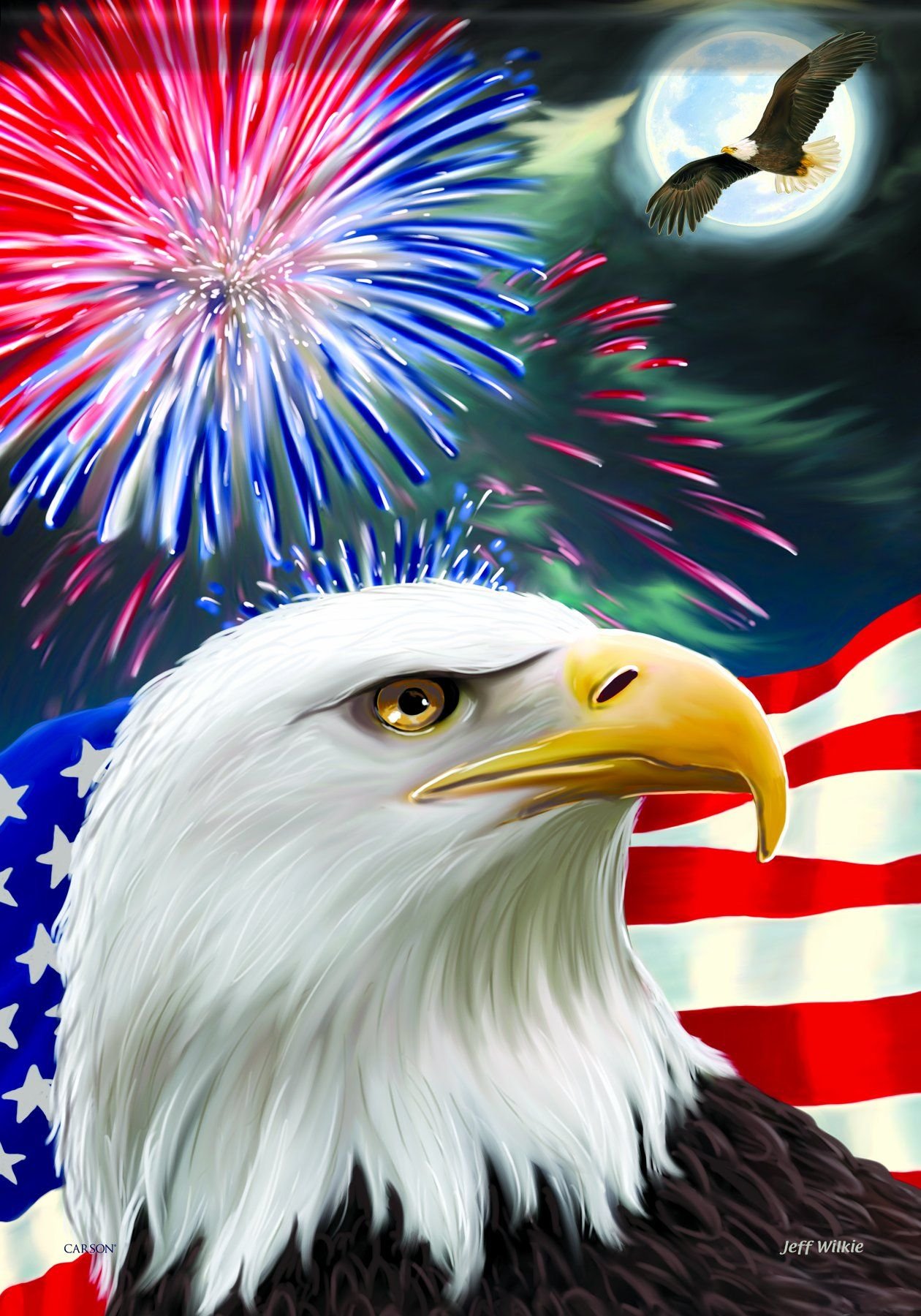 Звук орла америка. Символ Америки белоголовый Орлан. Американский белоголовый Орел. Белоголовый Орел символ США. Белоголовый Орлан на флаге США.