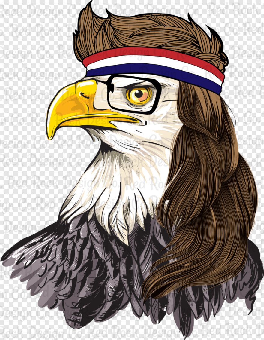 Белоголовый Орлан рисунок для детей