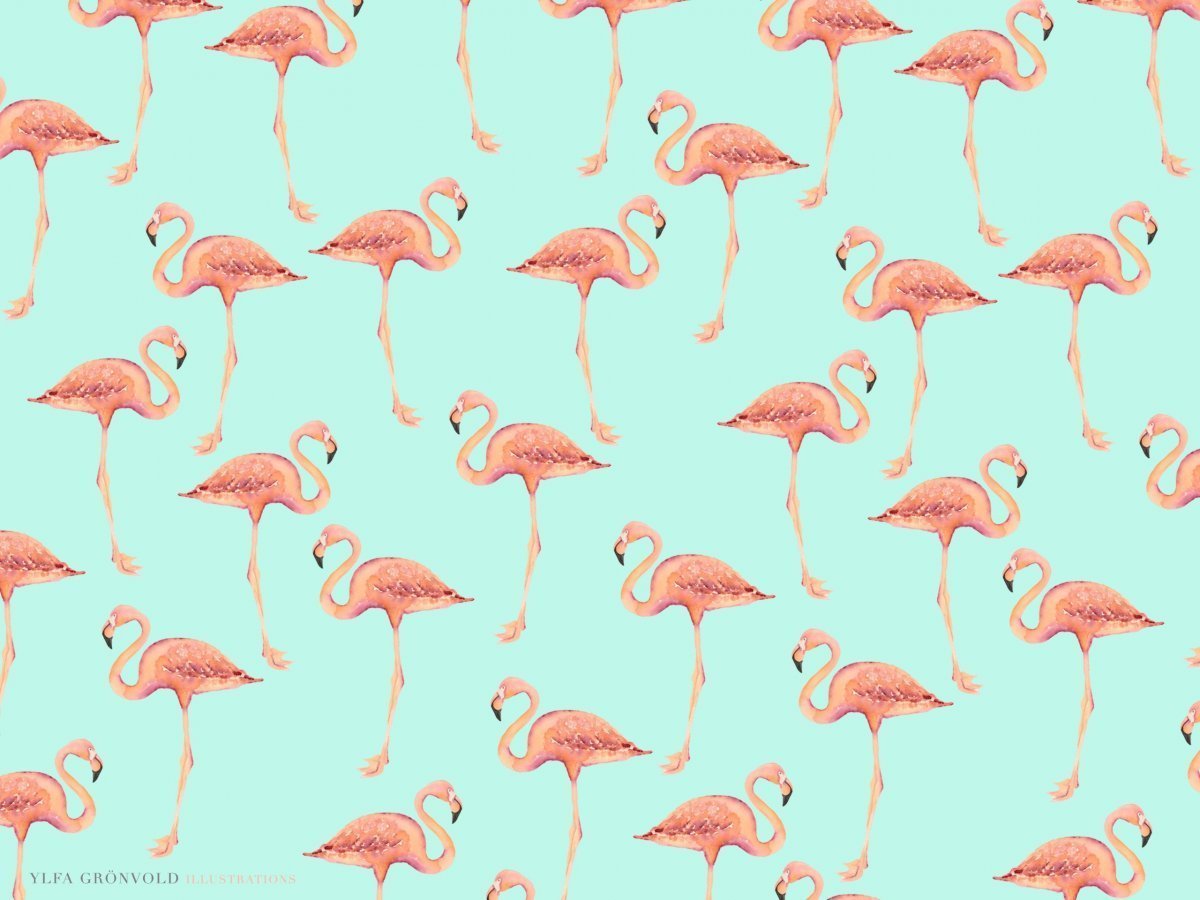Обои на рабочий стол Фламинго