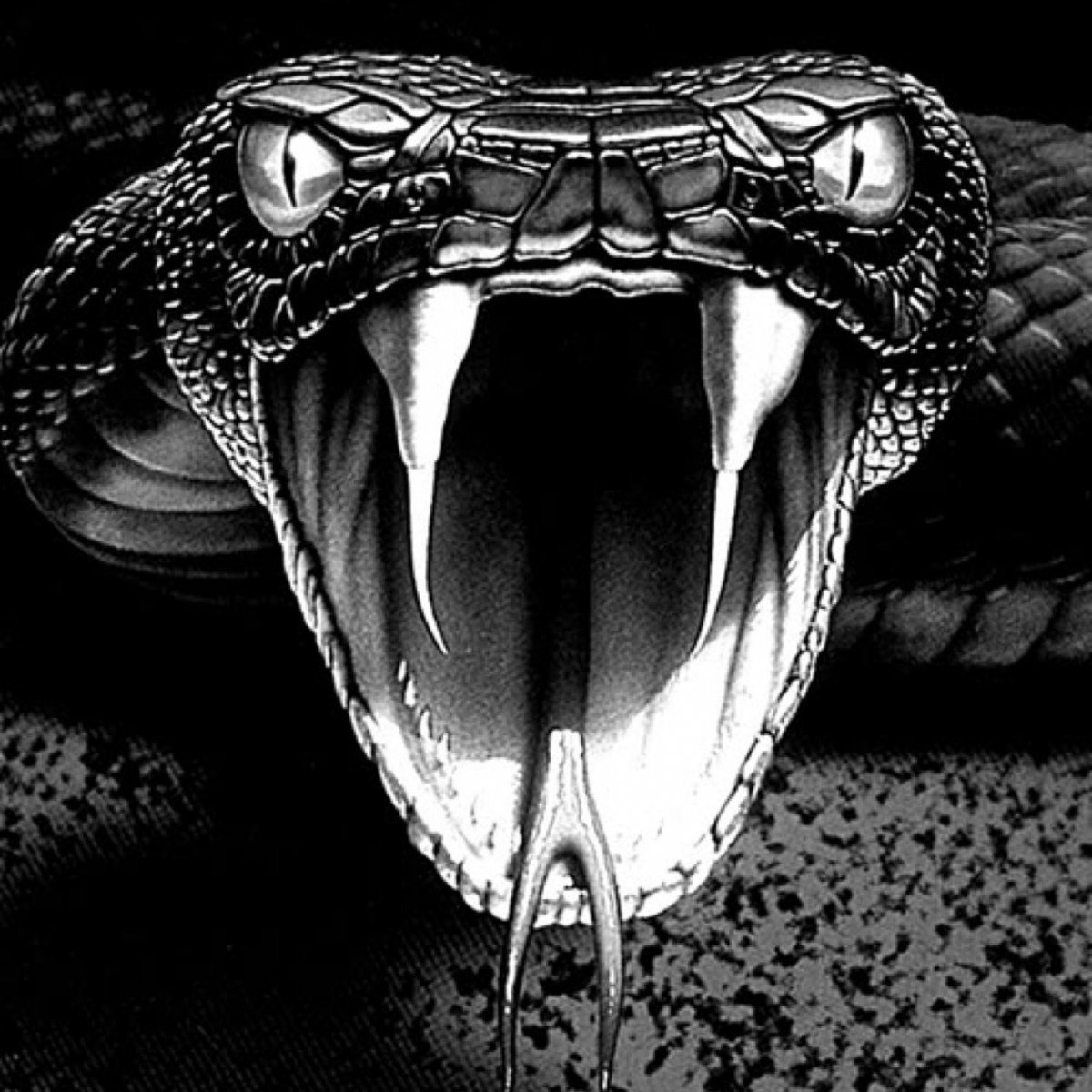 Змея чёрная мамба и Королевская Кобра