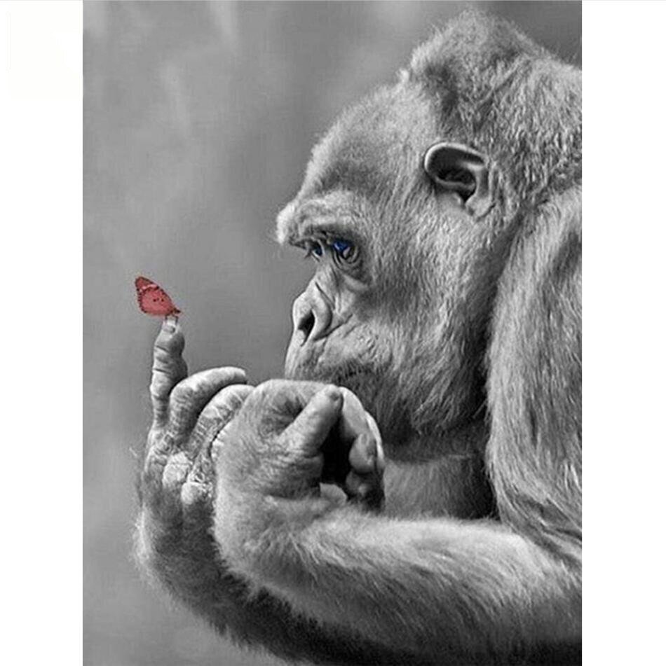 Картина по номерам шимпанзе в бабочках