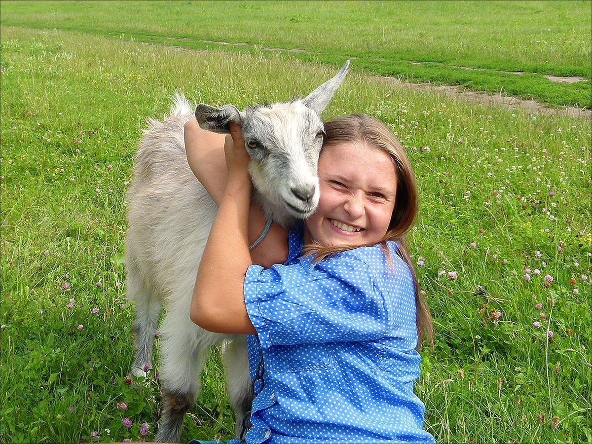 Дети года козы. Козы в деревне. Девушки и козы. Девочка с козой. Козленок подросток.