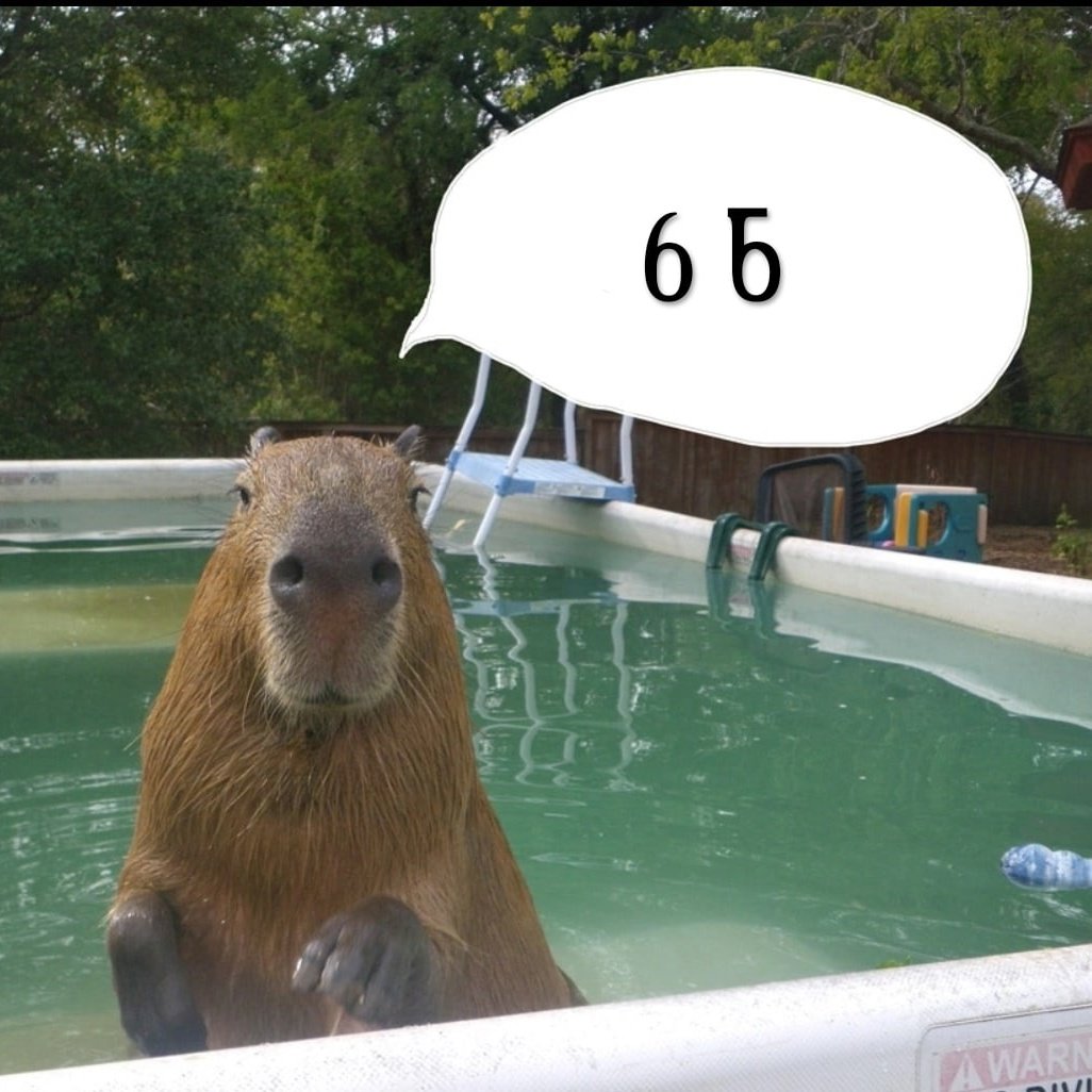 Капибара купается