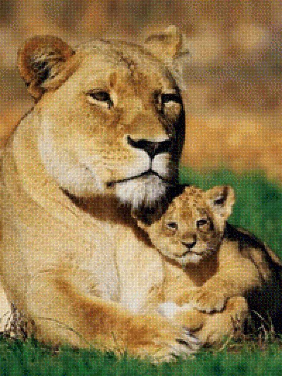 Львица и Львенок