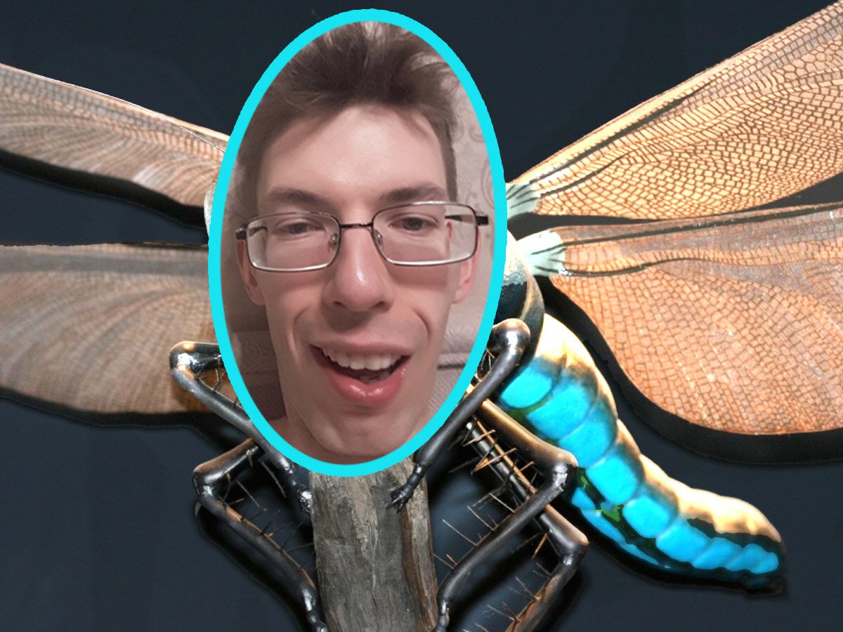 Белая Стрекоза