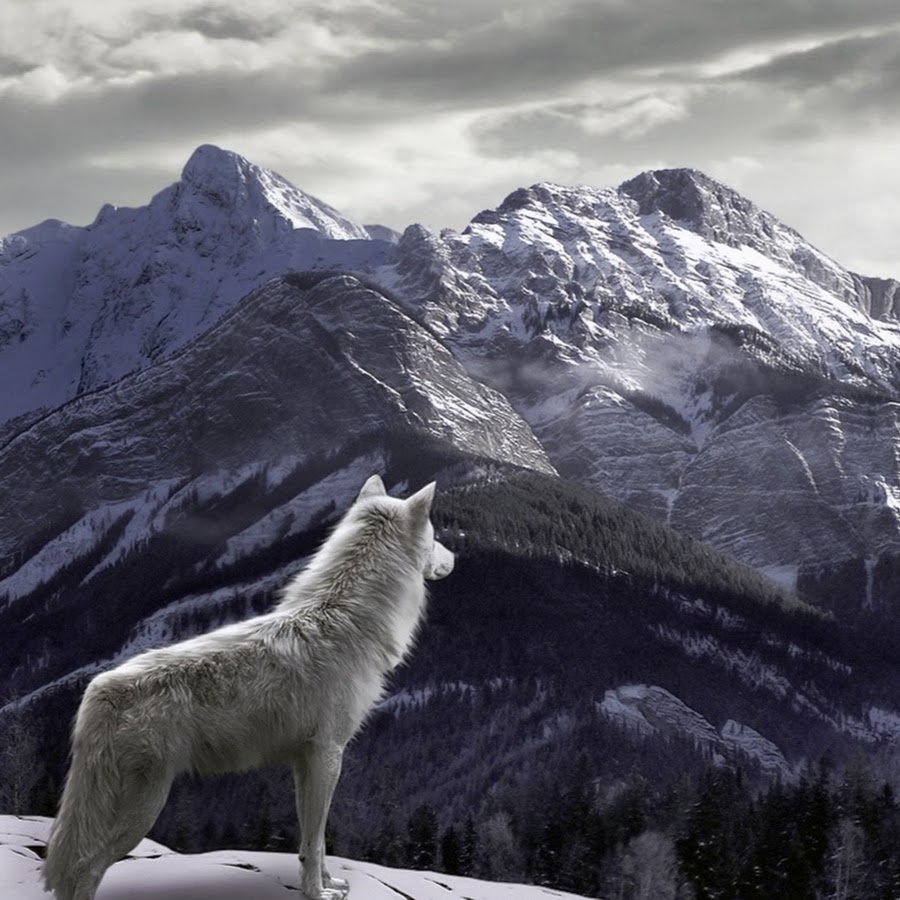 Дети Мороза Джек Лондон