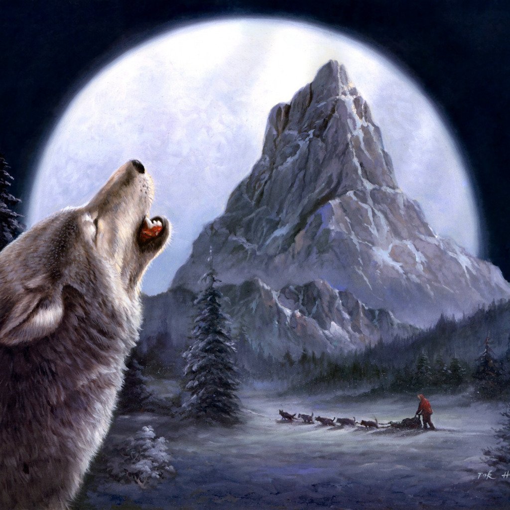 Воющий волк