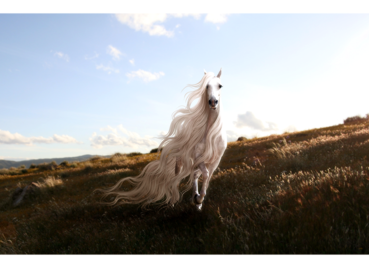 Лошадь с длинной гривой