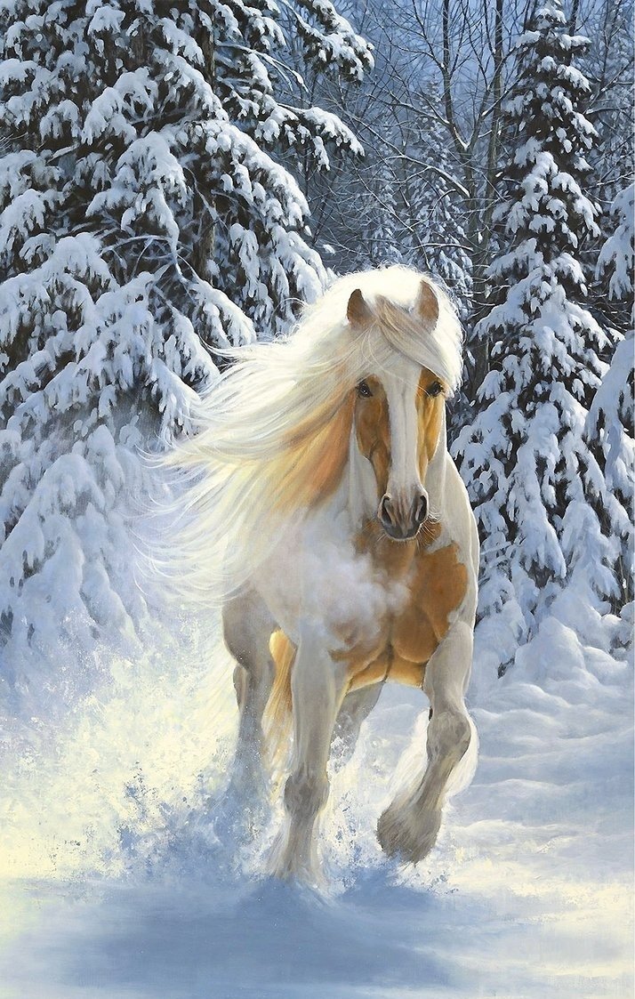 Лошади зима