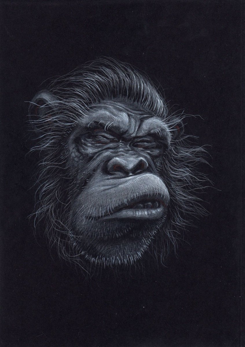 Обезьяна кривляется