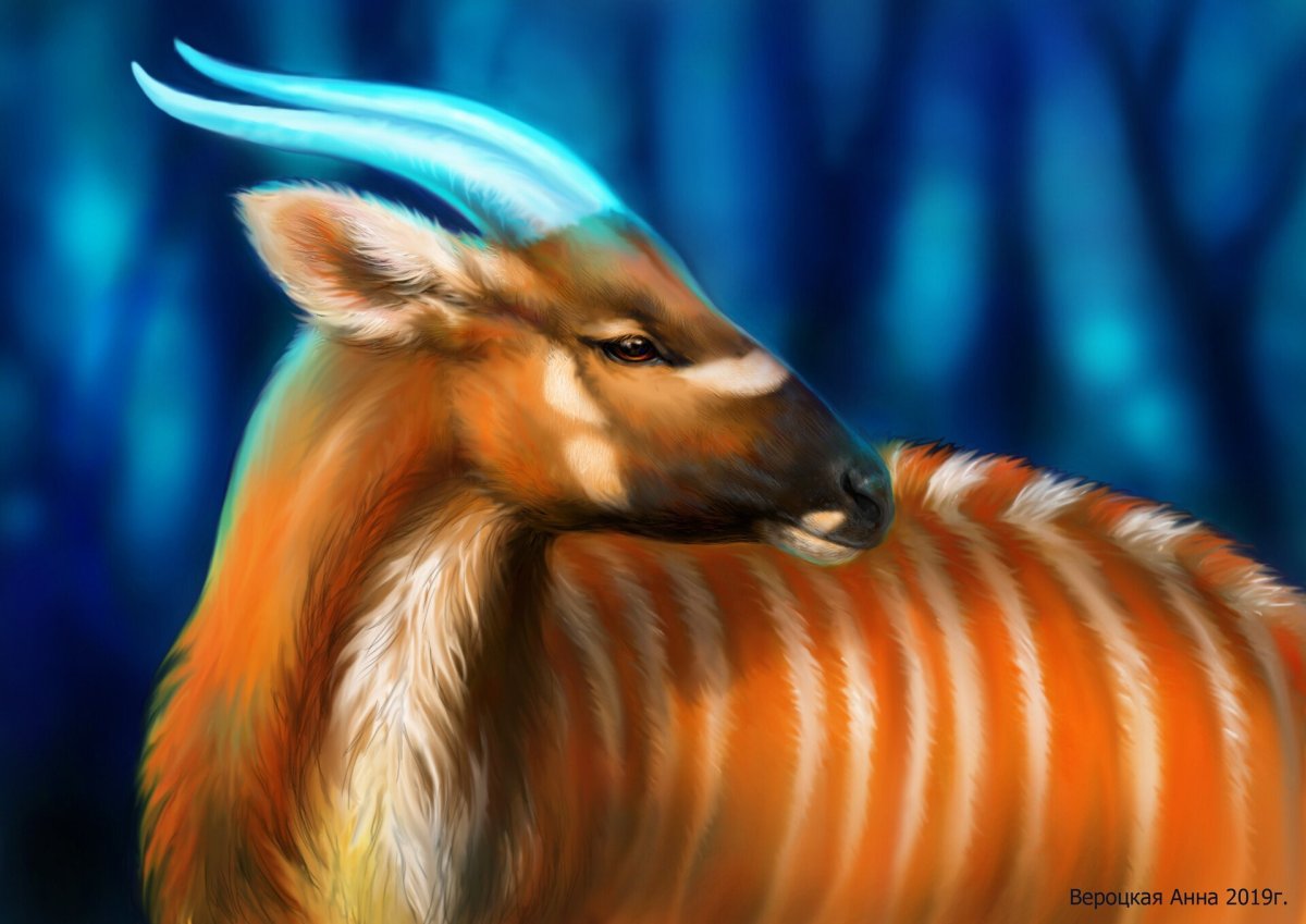 Святая антилопа