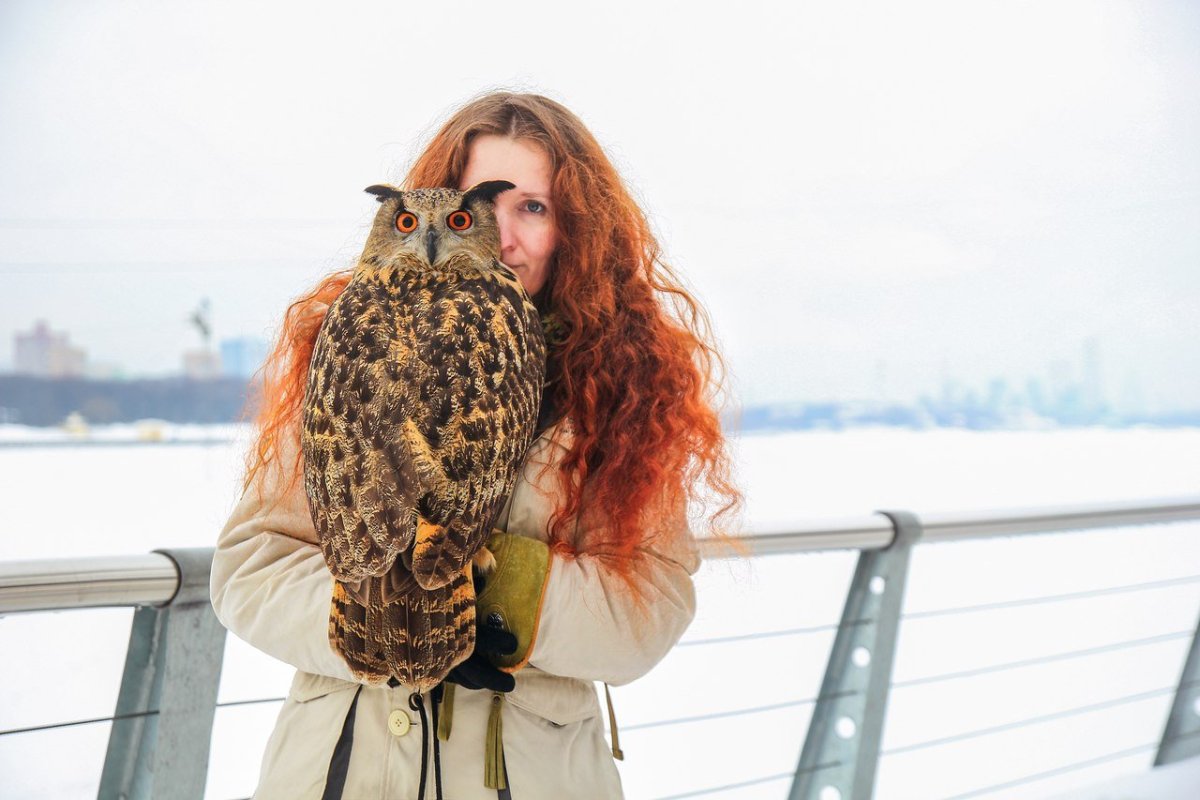 Ника Сова Йоль