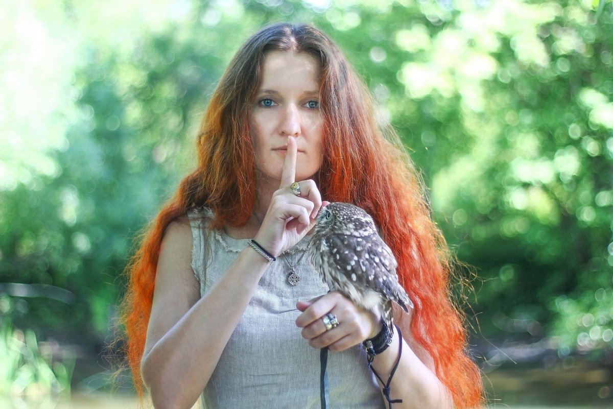 Ника зубра (Рыжова-Аленичева)