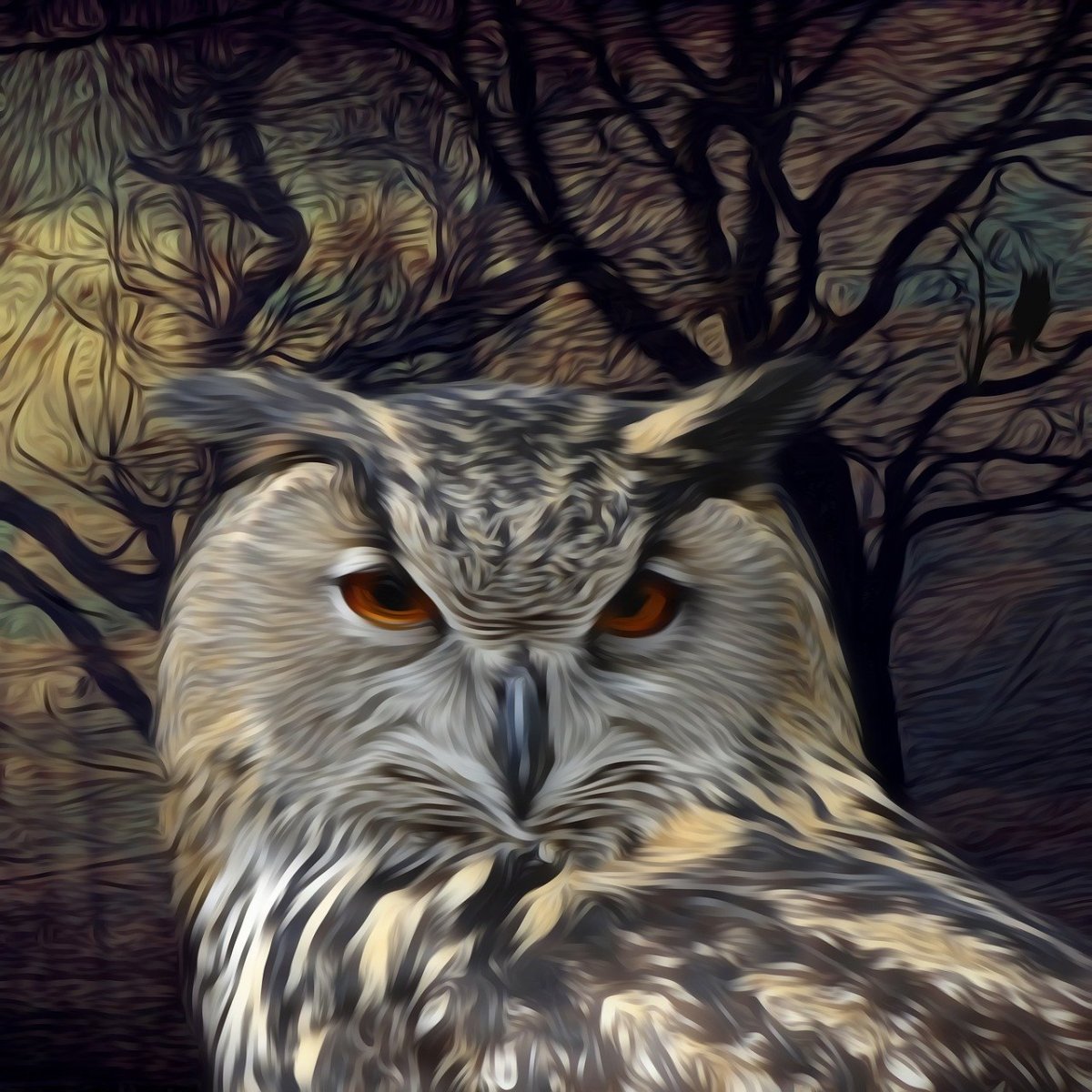 Сова Yoll арт