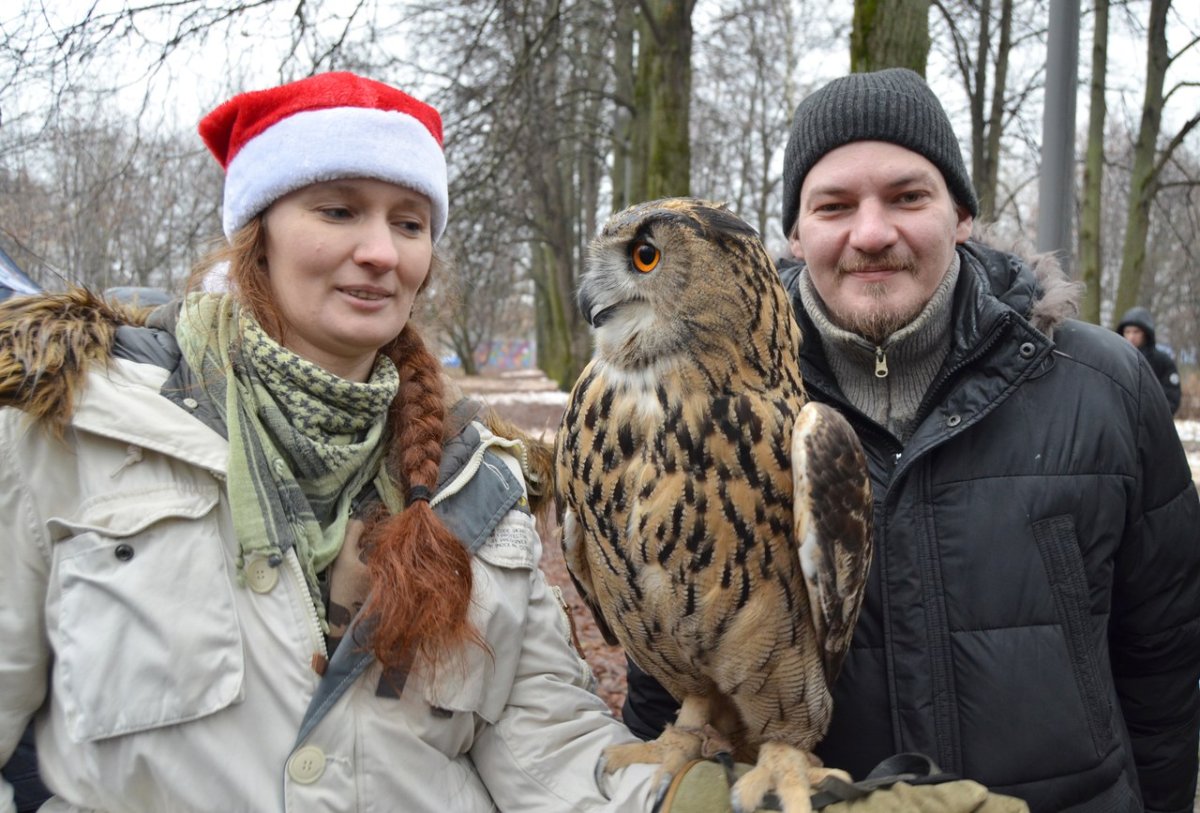 Ника Рыжова-Аленичева