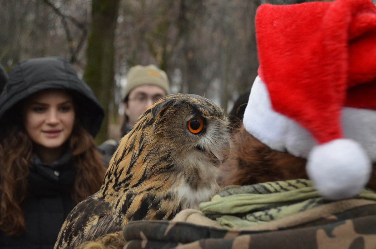 Орнитолог Ника зубра