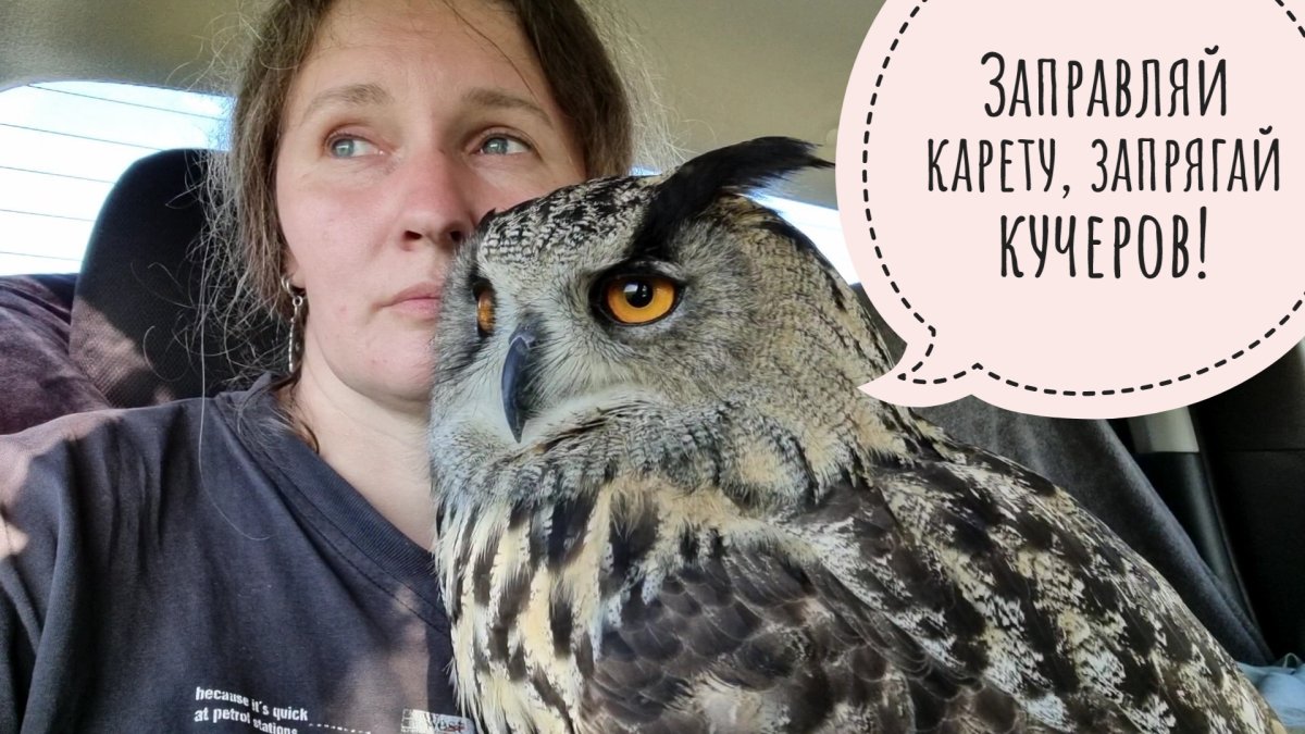 Света Филина