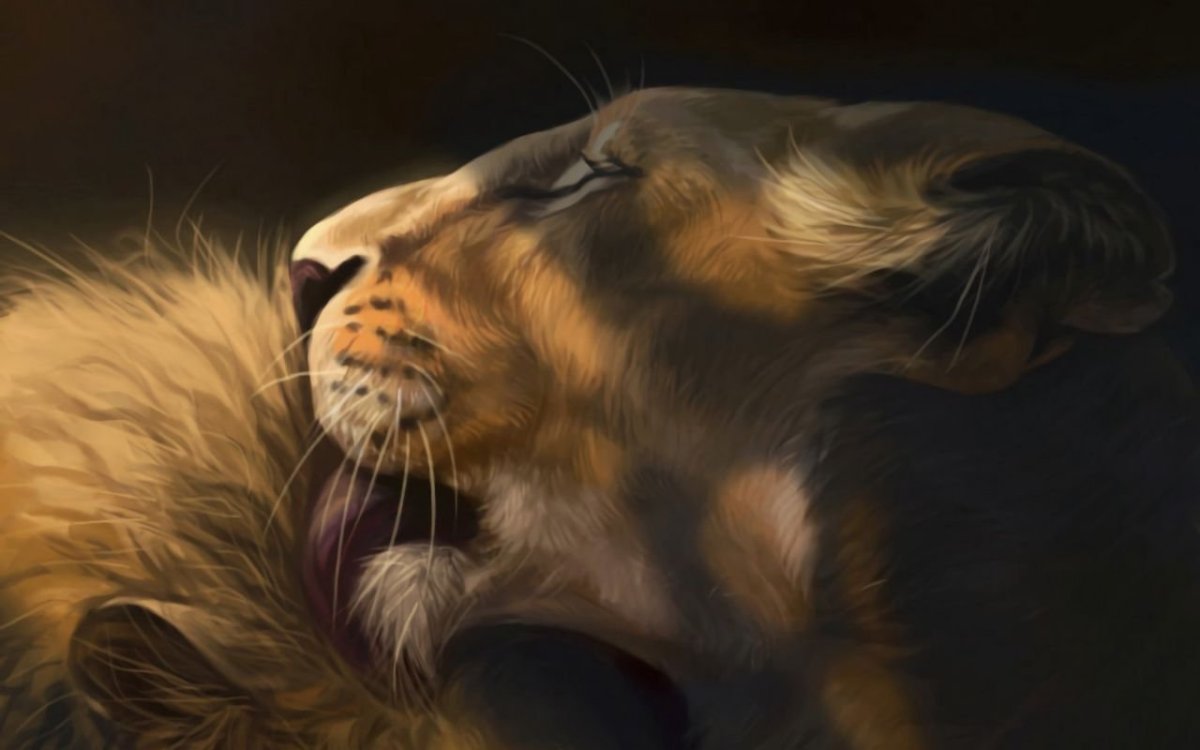 Животные любовь