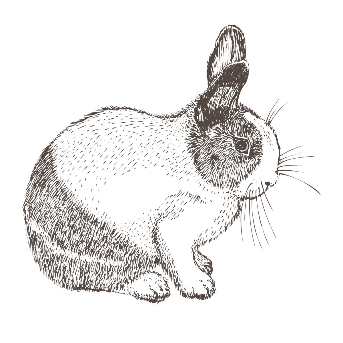 Кролик ретро