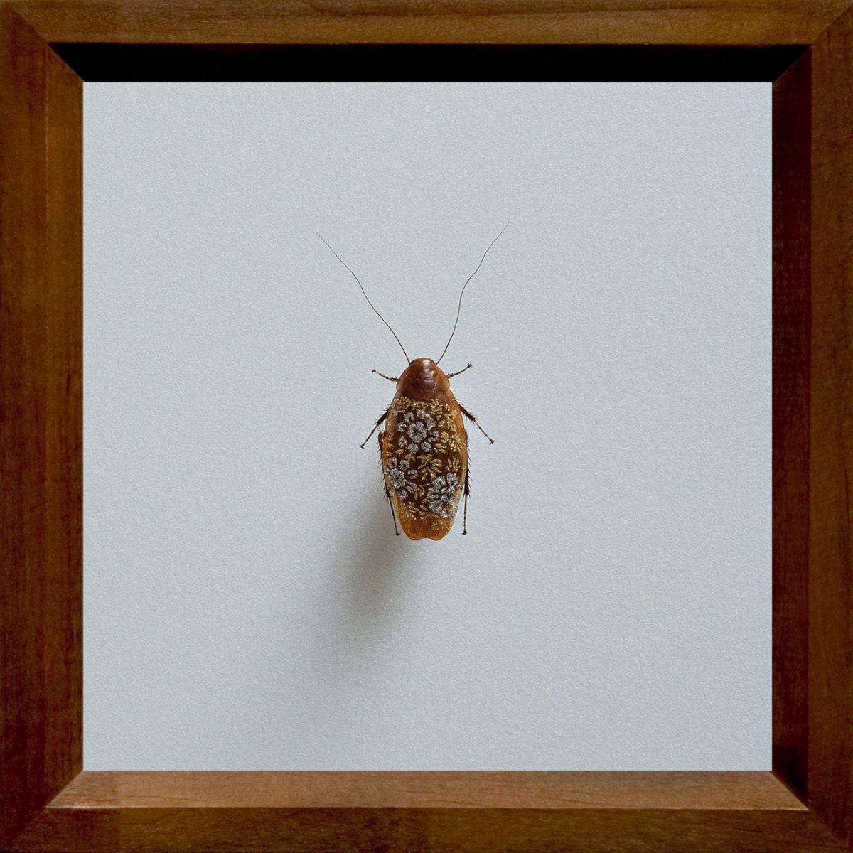 Насекомое Самурай