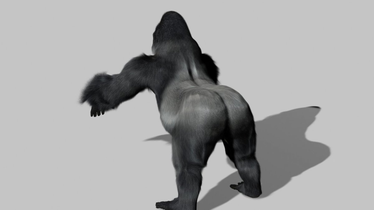 Горилла сзади