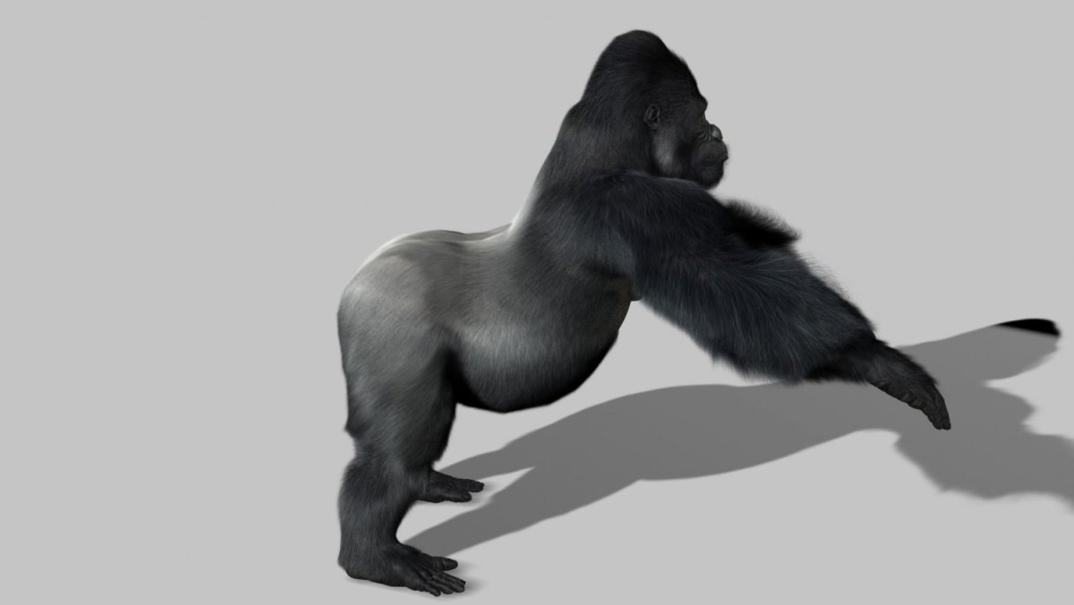 Горилла 3d
