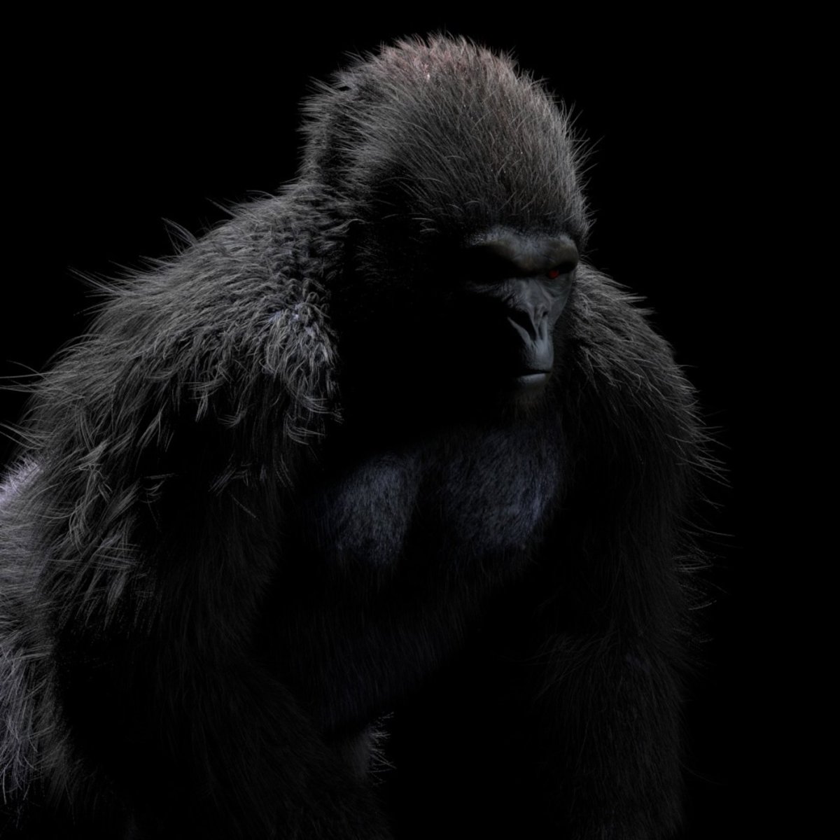 Снежок (горилла)