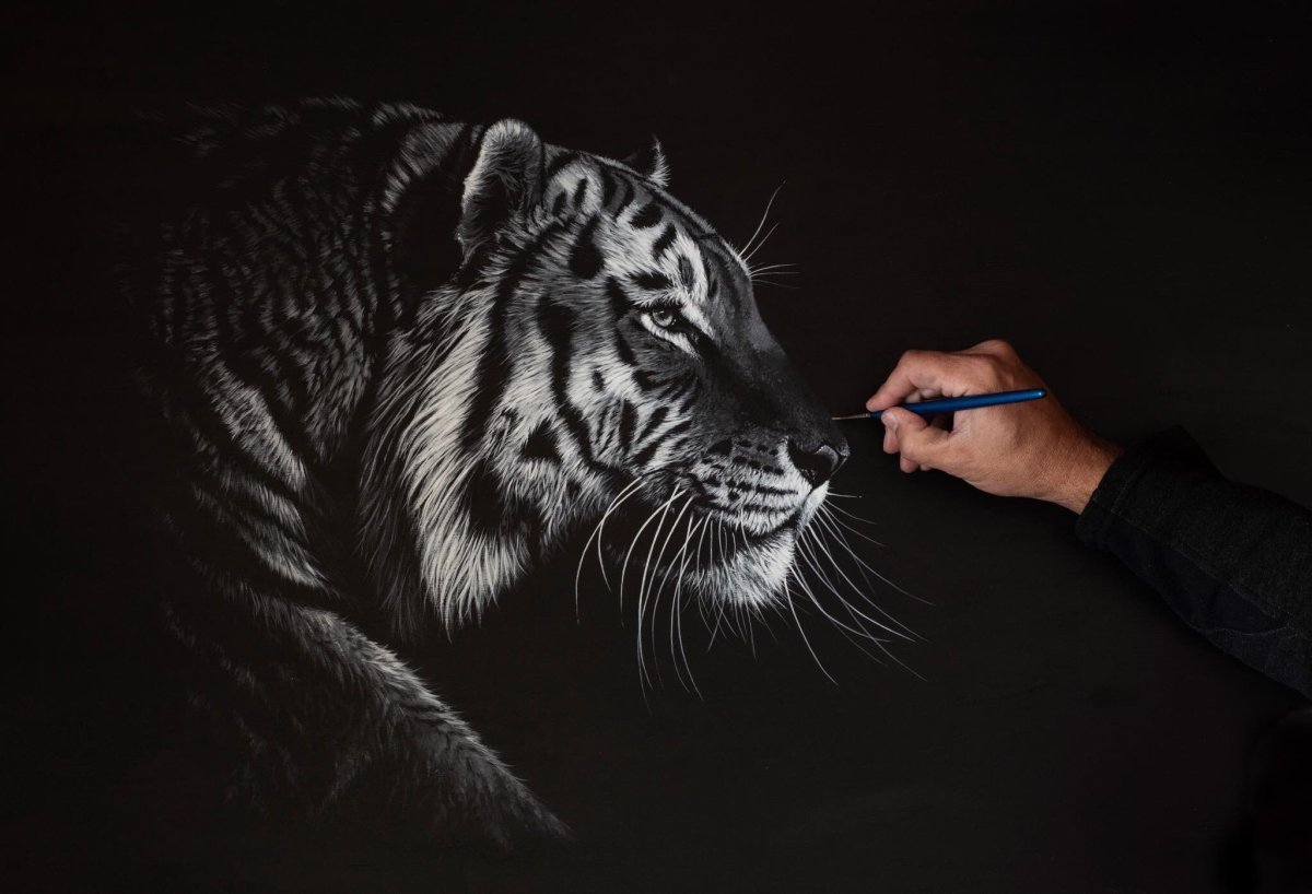 Голова тигра в профиль