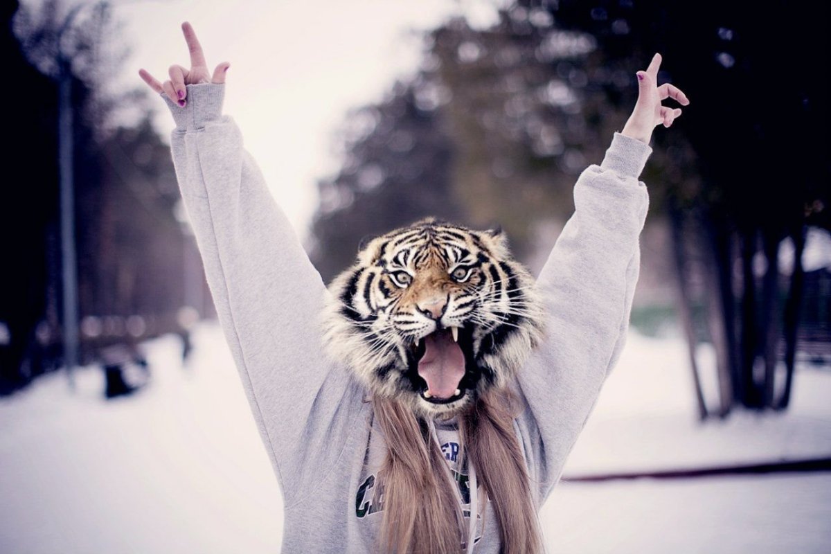 Картинки тигров на аву