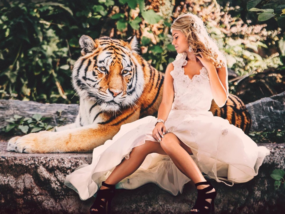 Сиенна Миллер с тигром