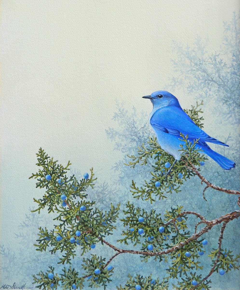 Mike Stinnett птицы