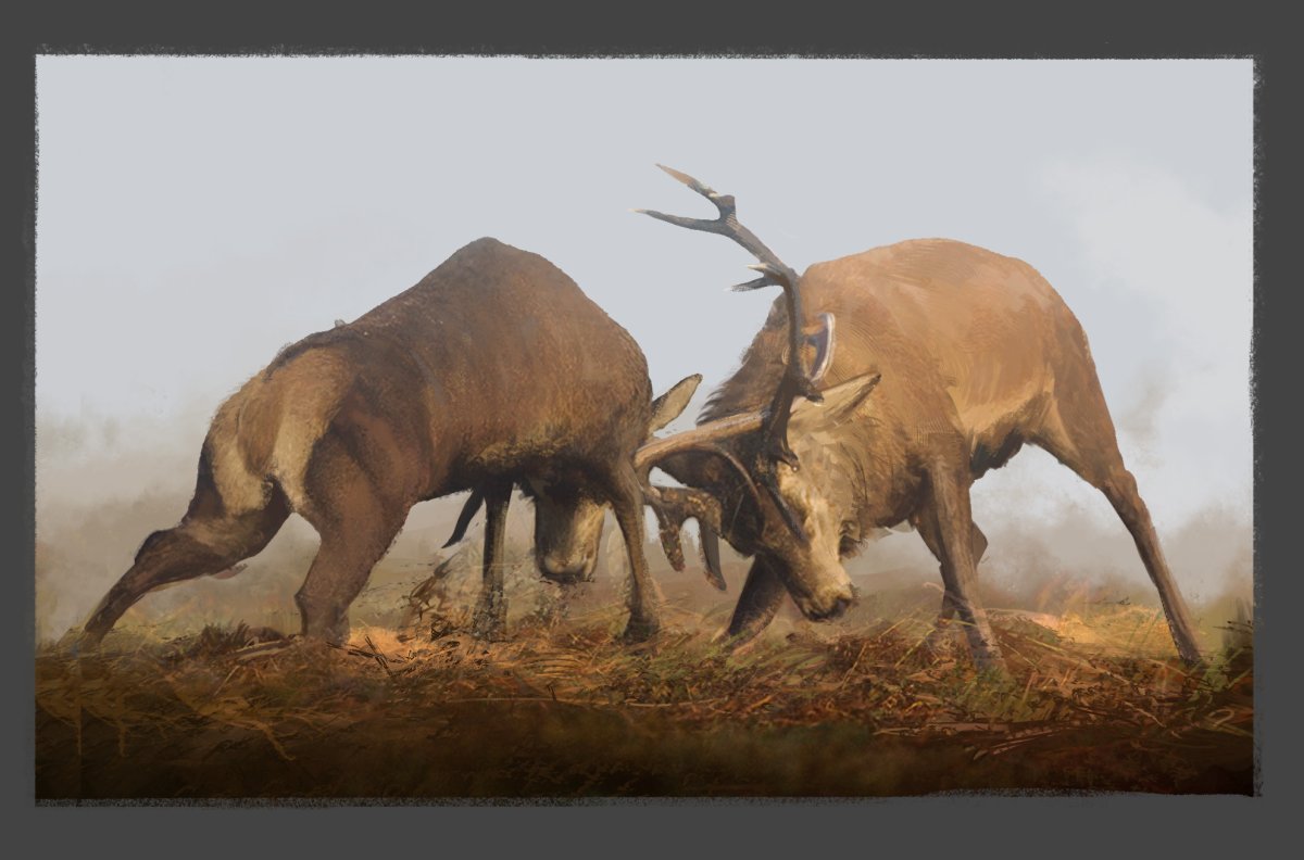 Драка оленей