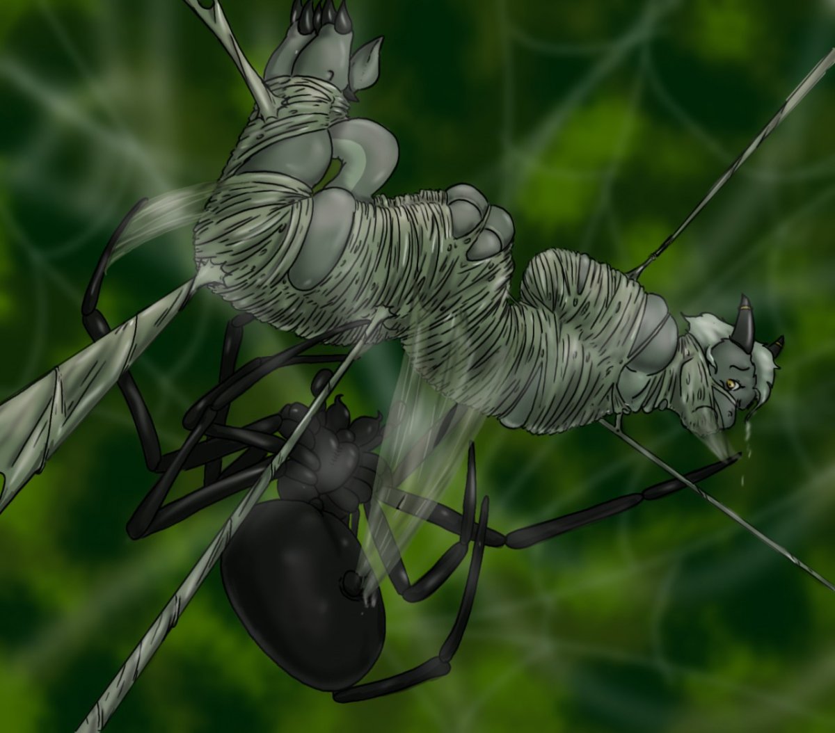 Паучий кокон anime