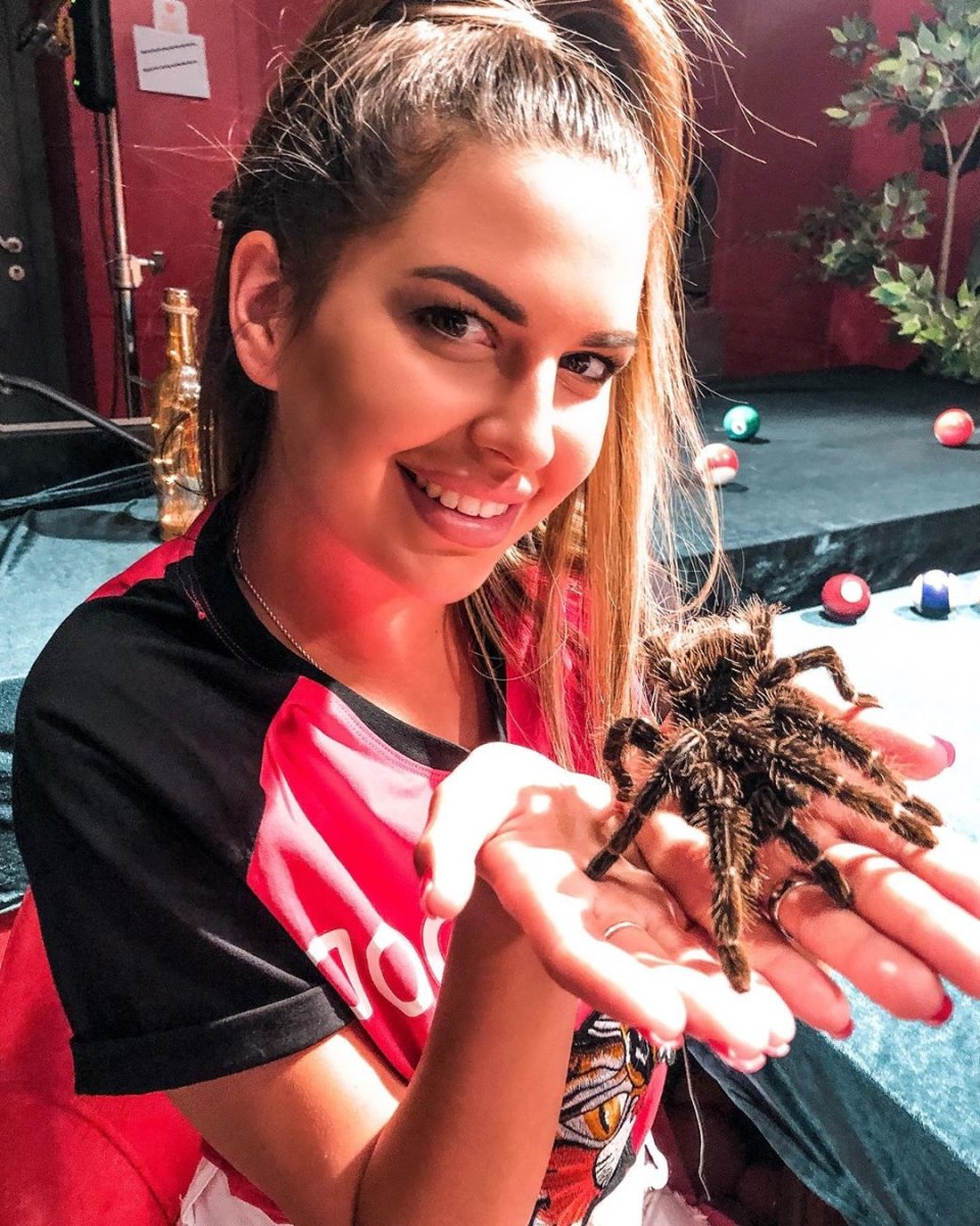 Птицеед в России