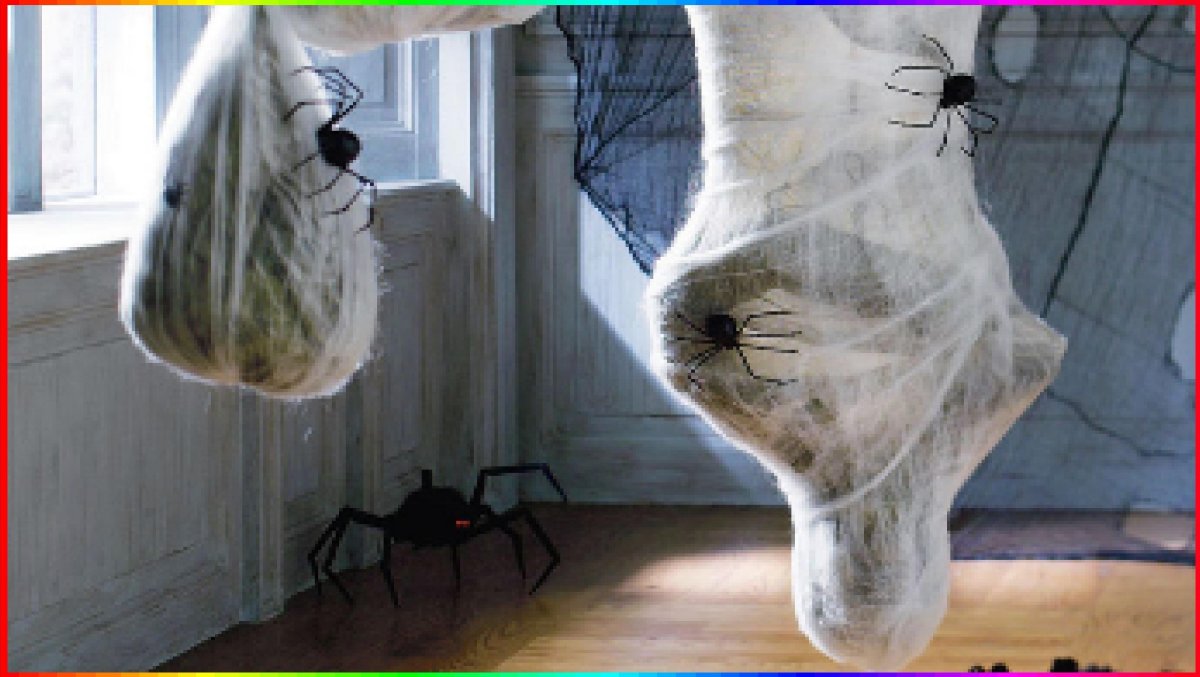 Кокон в паутине