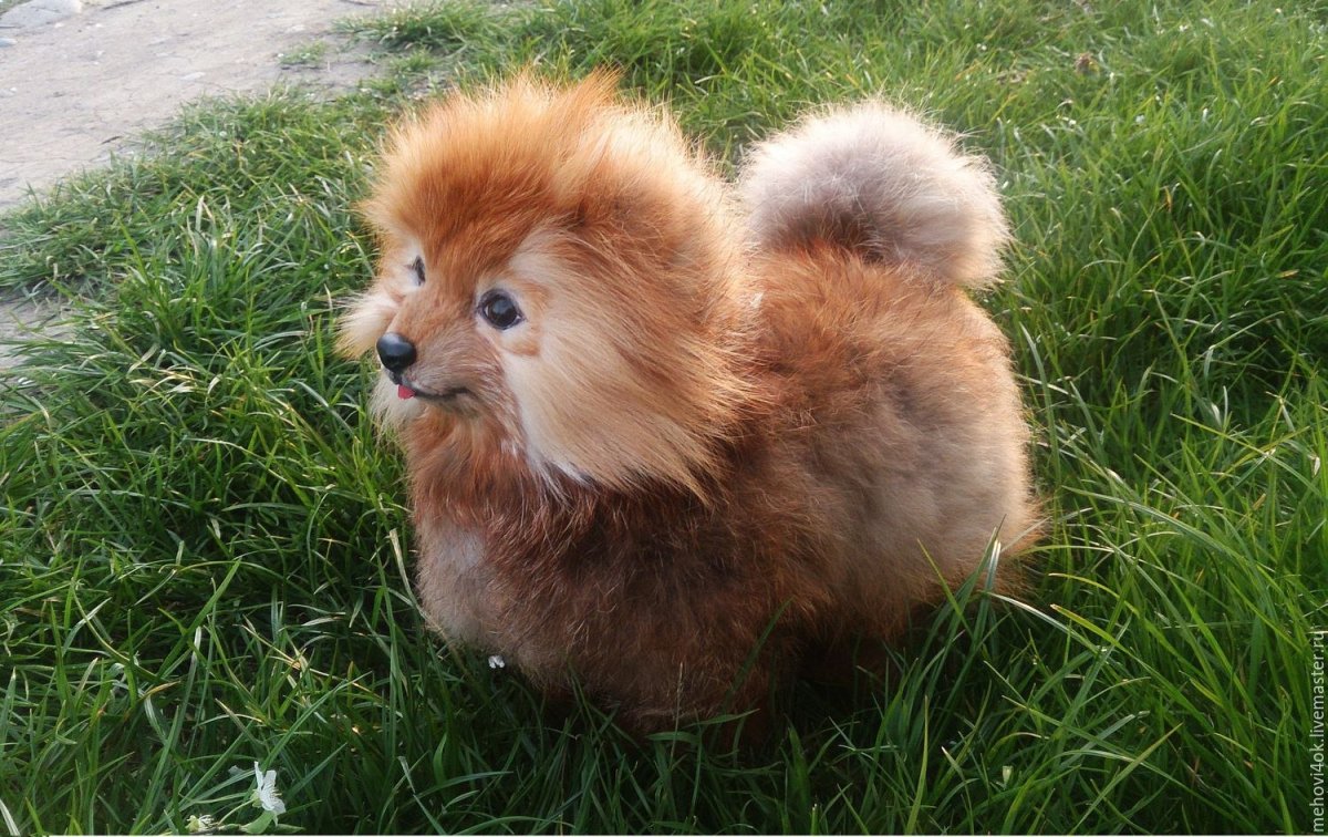 Интерактивный померанский шпиц my friends Пушок