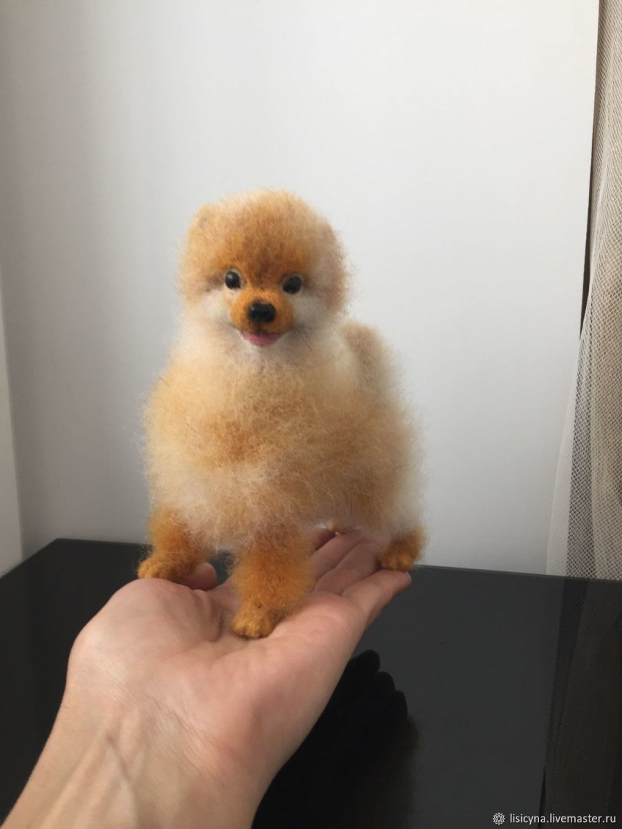 Померанец микро шпиц