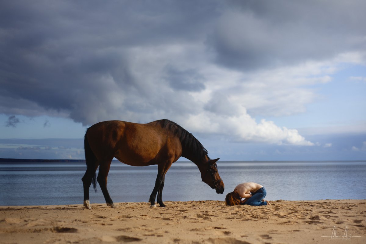Конь на берегу