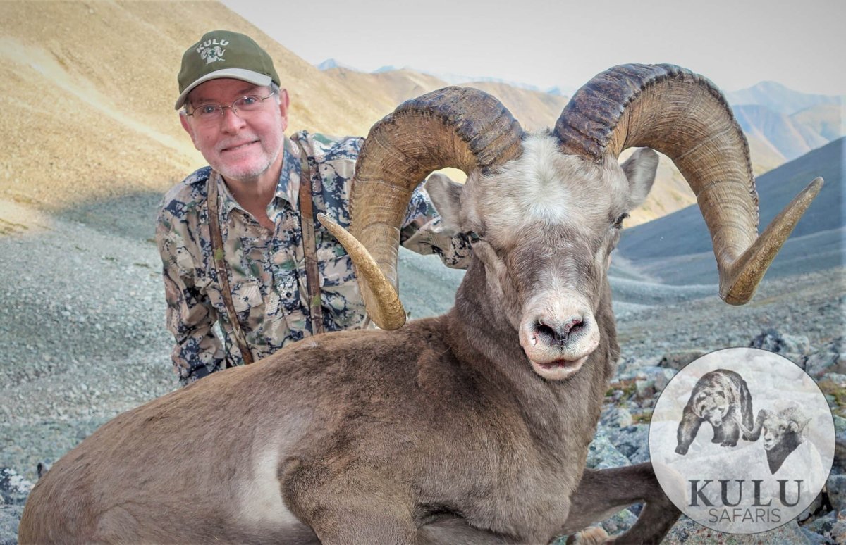 Путоранский горный баран