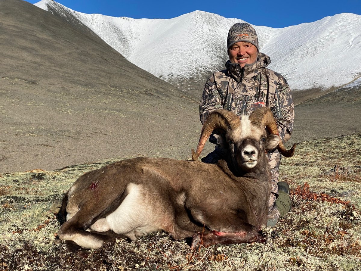 Колымский баран