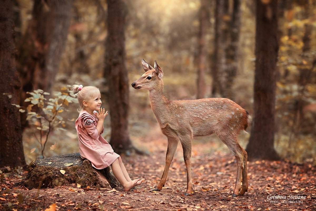 Олененок в осеннем лесу