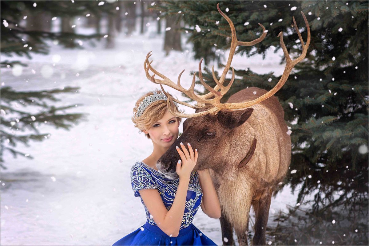 Фотосессия с оленями живыми